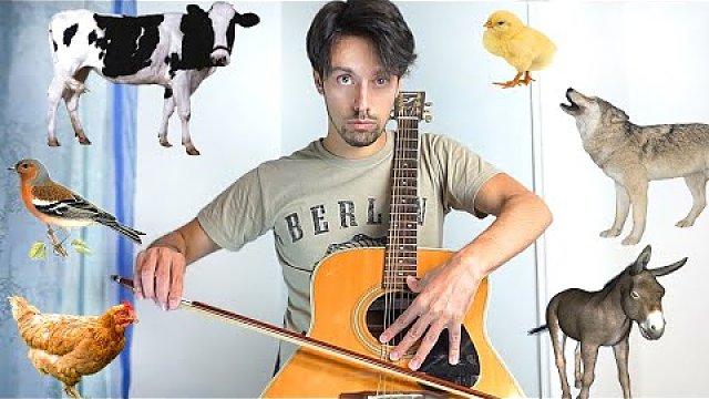 Guy-with-guitar-and-animals-SHINE-DAILY