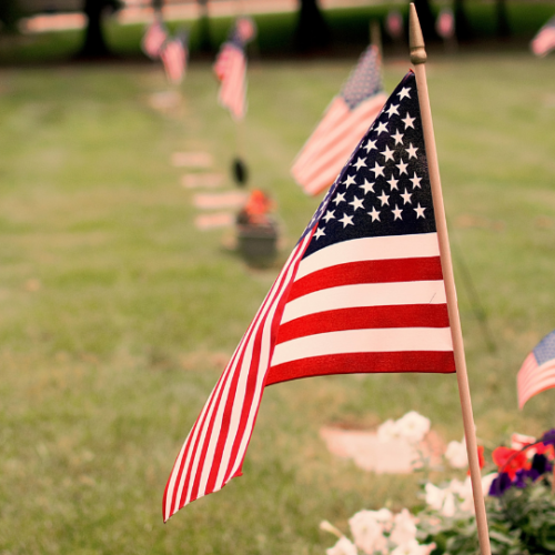 American Flags placed on the graves of veterans in a field of green grass
