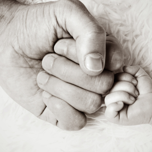mans fist laying next to a babys fist against a white fluffy background