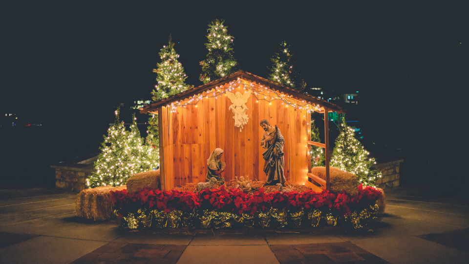 life size nativity scene set up in front of lit up Christmas trees