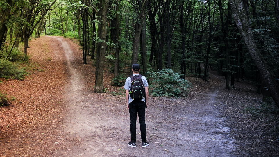 man standing at the edge of a forest with two dirt paths before him