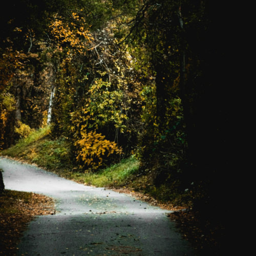 dark tunnel leading to a cement path surrounded by lush green trees with bits of orange leaves sprinkled throughout