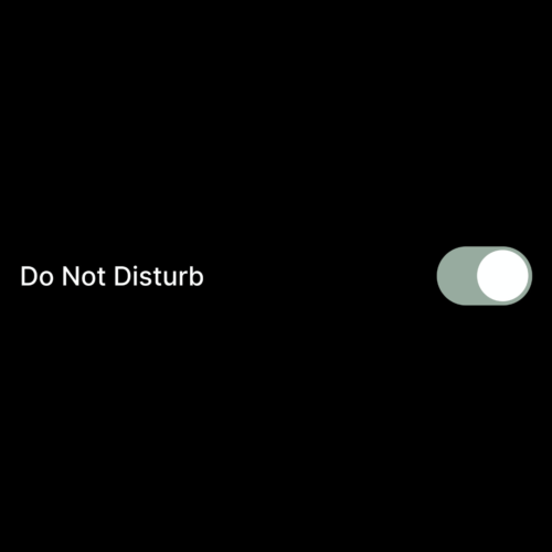 black screen with the iPhone "do not disturb" button switched on to green