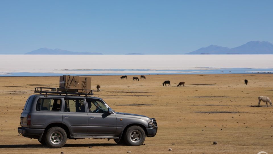 A small grey car delivering shoeboxes makes its way across a desert in Bolivia with animals in the background