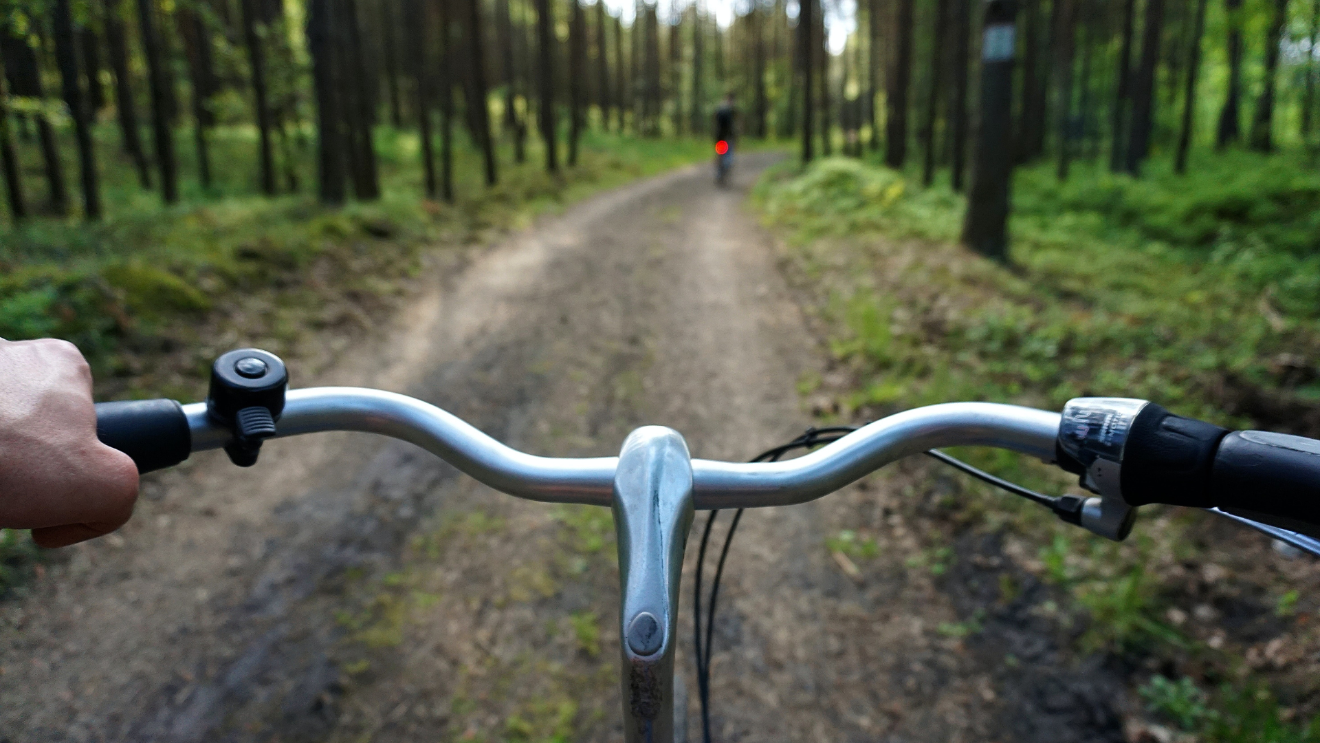 view from the handle bars of a bike as someone rides in the forest surrounded by trees