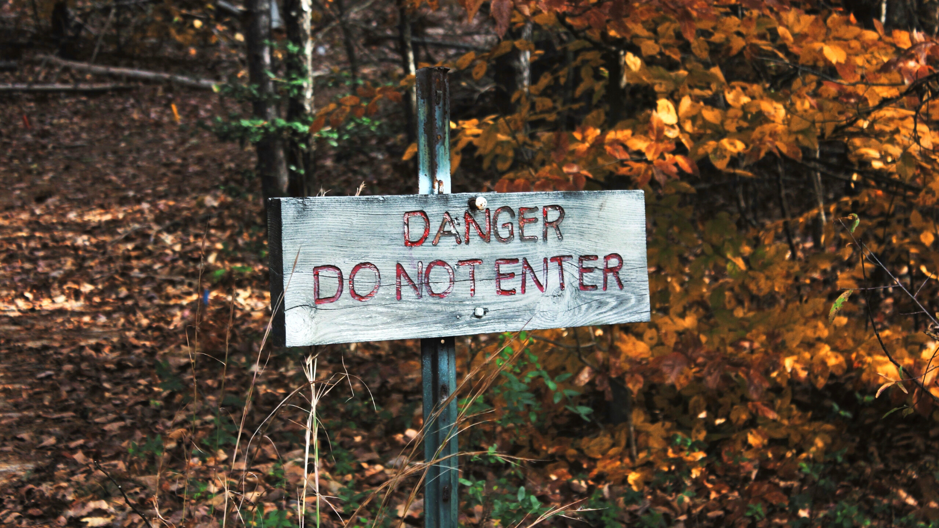 wooden sign in front of trees reading DANGER DO NOT ENTER
