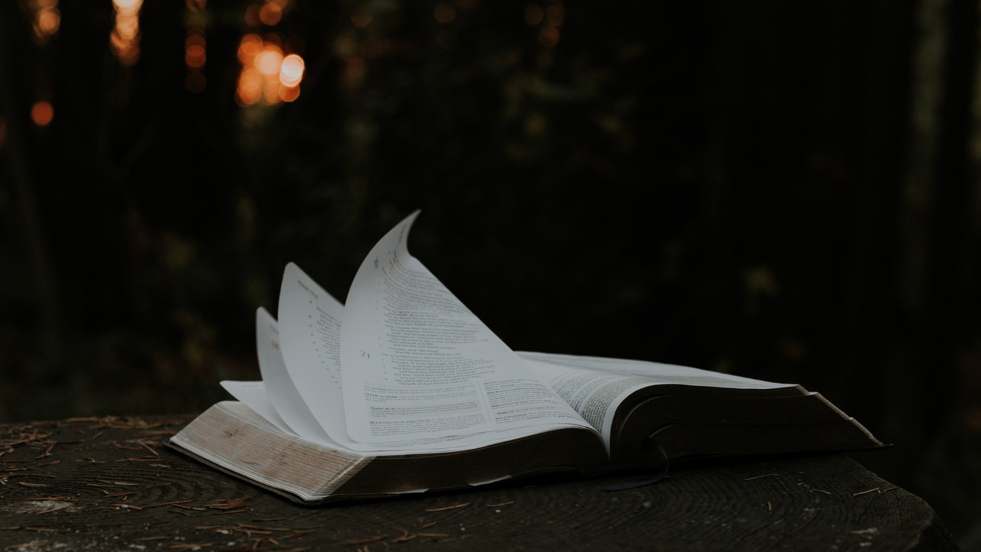 a Bible sitting outside on a tree stump as the wind blows flips the pages to the right
