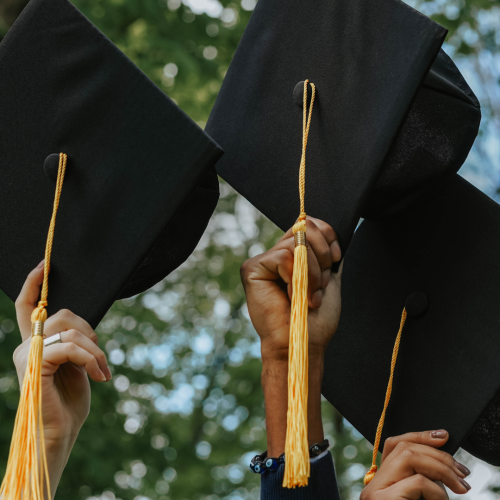 three graduation caps being held up against foliage