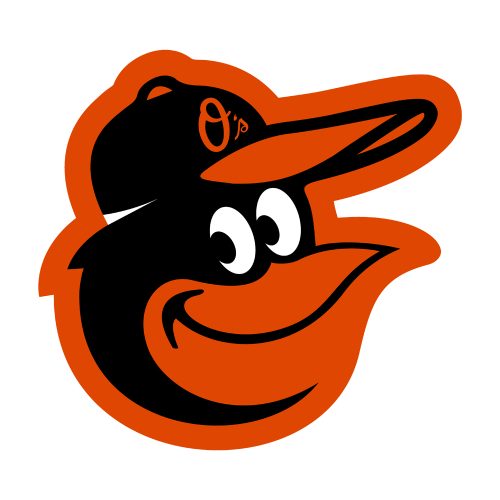 Oriole bird